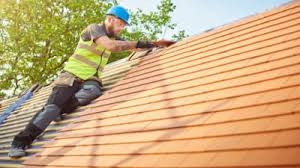 Best Roof Maintenance and Cleaning  in Momence, IL